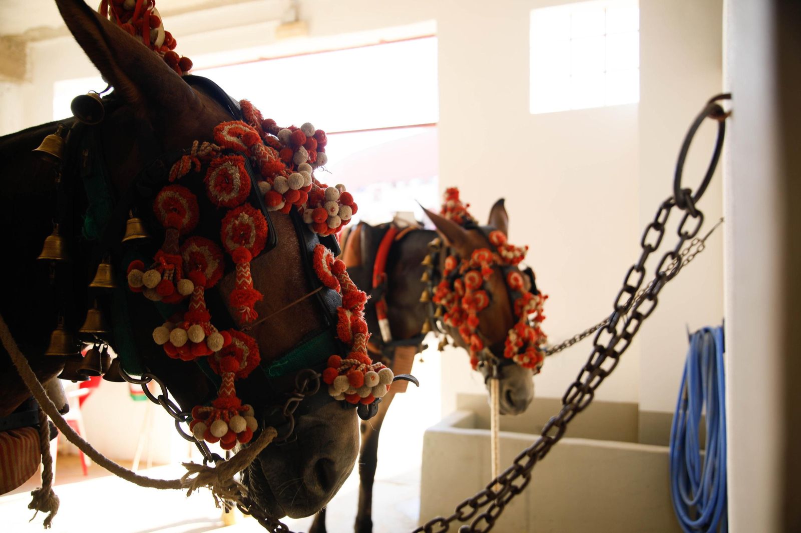 Corrida de toros en Roquetas, en imágenes