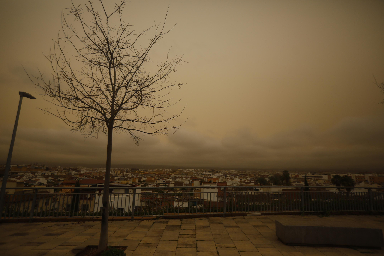 La calima llega a Córdoba, en imágenes