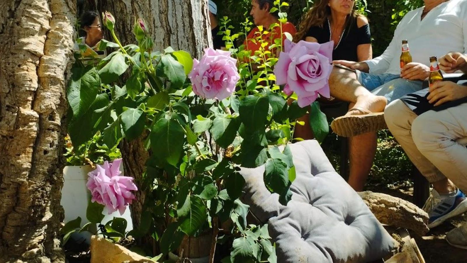 Esta casa rural de Huelva está entre las mejores del mundo en la categoría "Salud y Bienestar"