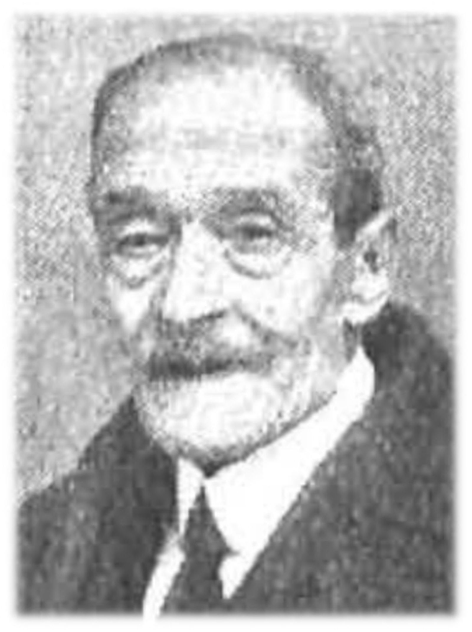 Imagen de Ricardo Alcón Tauriño.