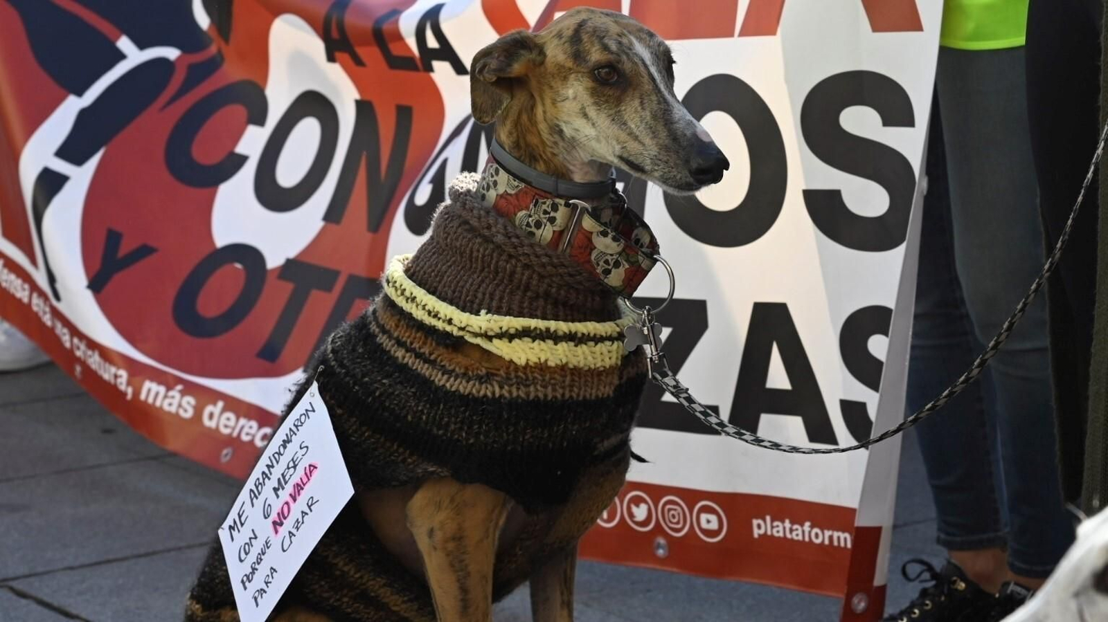 La manifestación para acabar con la caza con perros en Córdoba, en imágenes