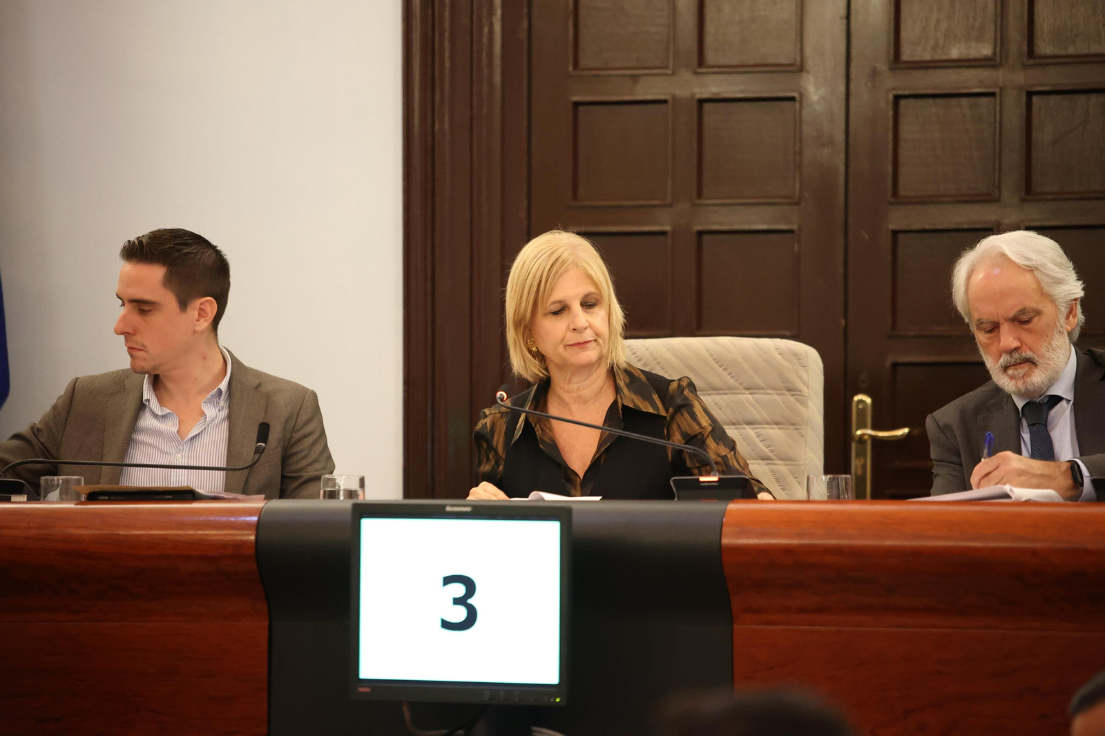 La alcaldesa, María José García-Pelayo, durante un pleno.