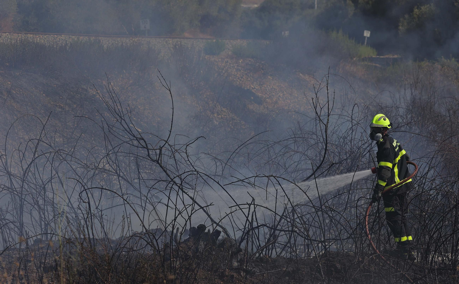 Fotos del incendio de pasto en el polígono de La Menacha en Algeciras
