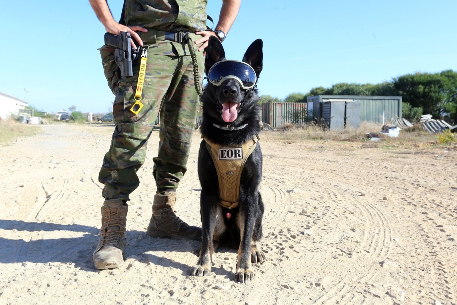 Ejercicio de Adiestramiento 2021 de Unidades Caninas en el TEAR.