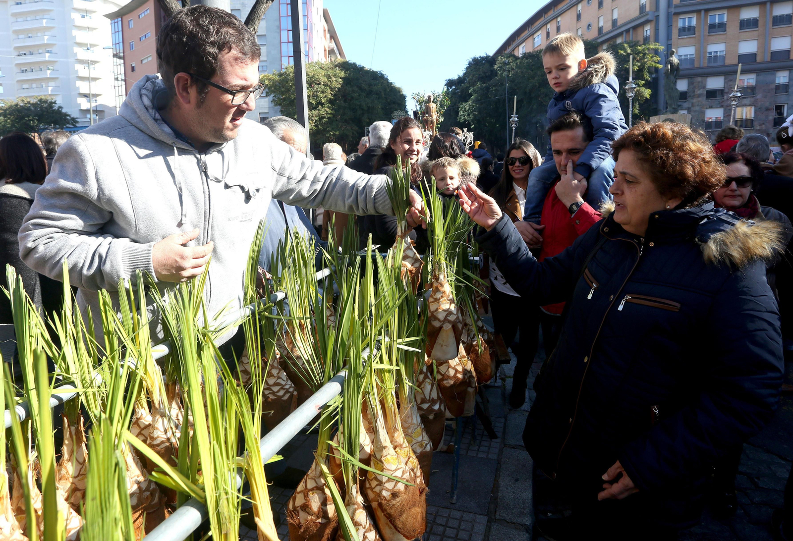 Es imposible entender la fiesta de San Sebastián sin la presencia de los puestos de palmitos. Es también muy difícil que los onubenses no terminen la jornada sin alguno de estos vegetales para aderezar la ensalada.