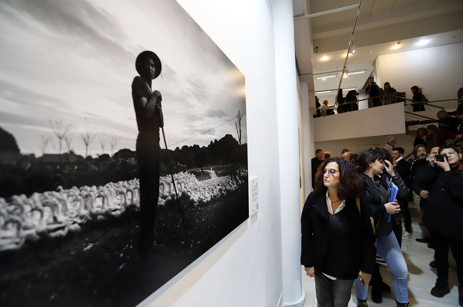 Imágenes de la exposición de Latitudes "Perspectivas"