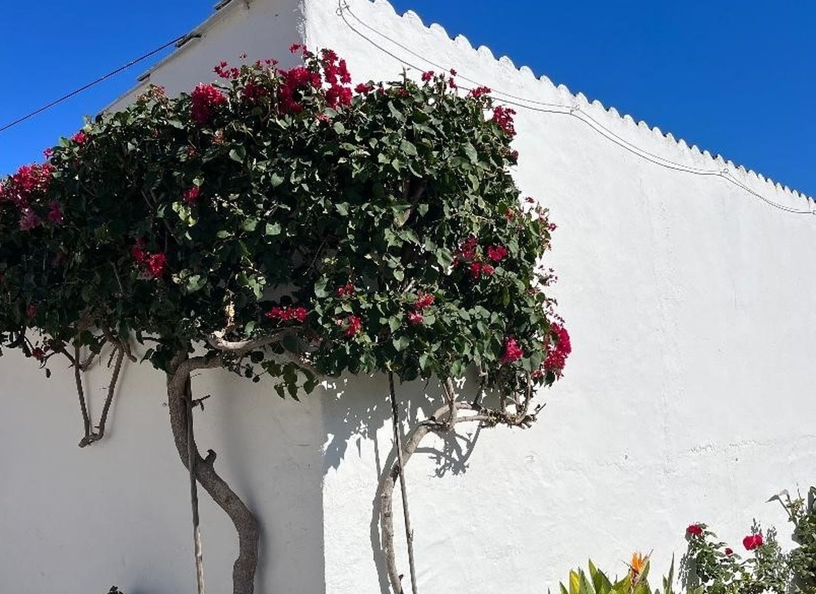 De andar por casa: Una casas llena de recuerdos en San Fernando