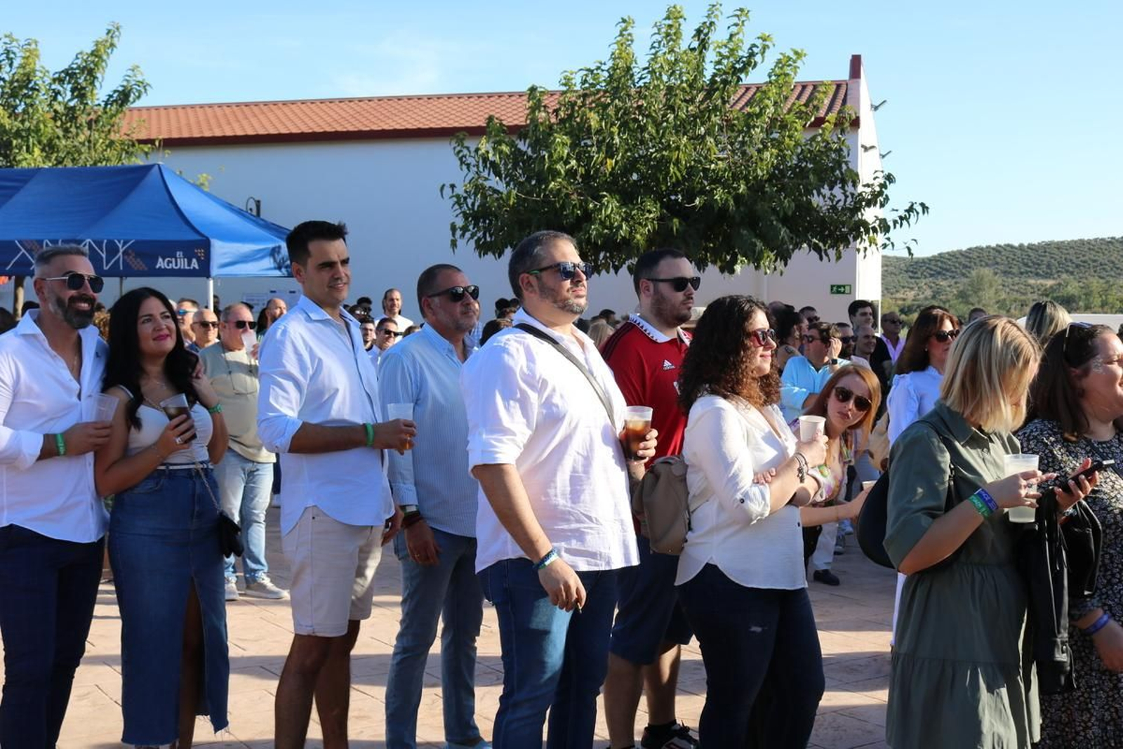 Una tarde única entre los olivos de Aires de Jaén.