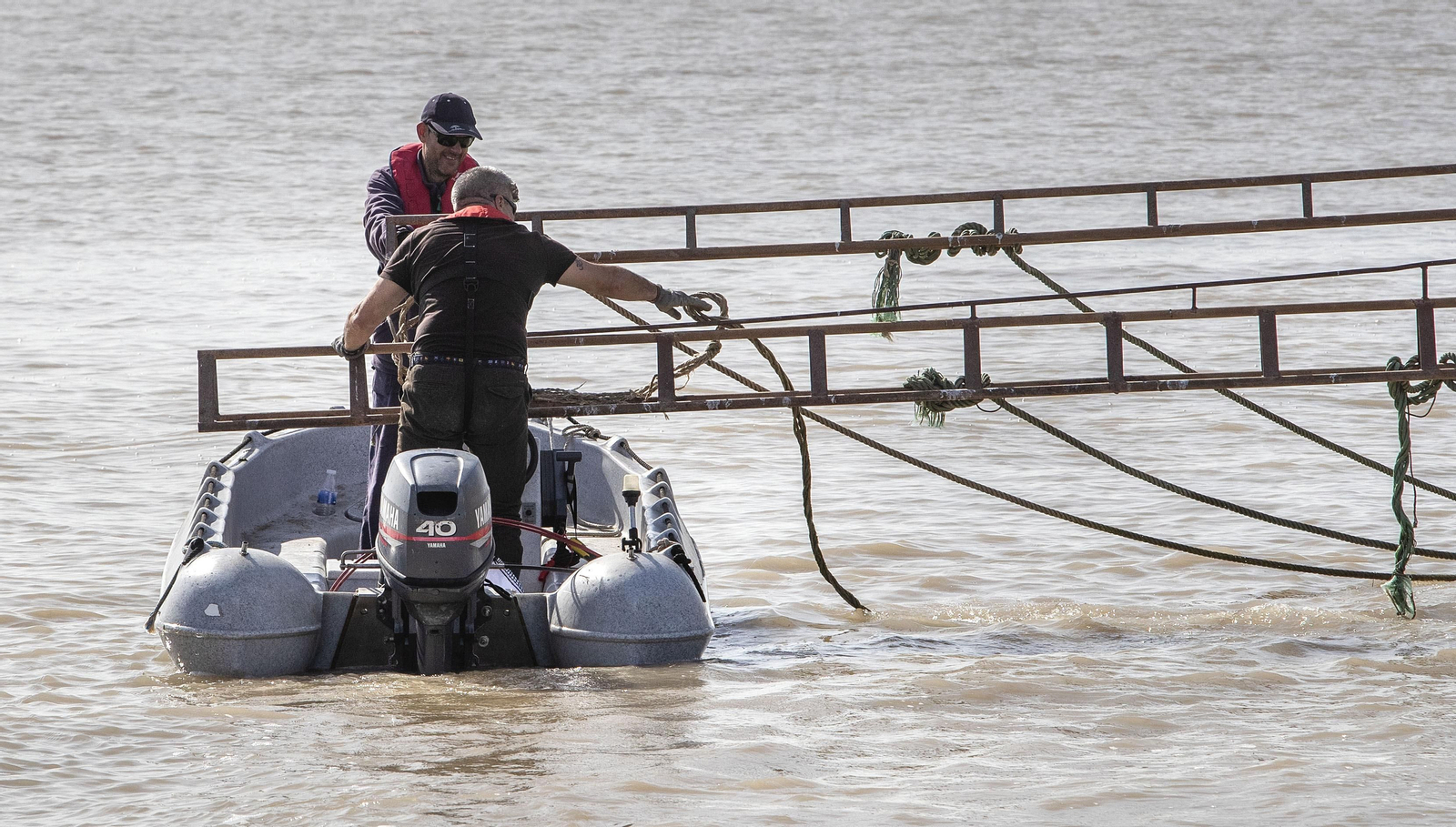 Operación Ave  fenix contra la pesca  de la angula