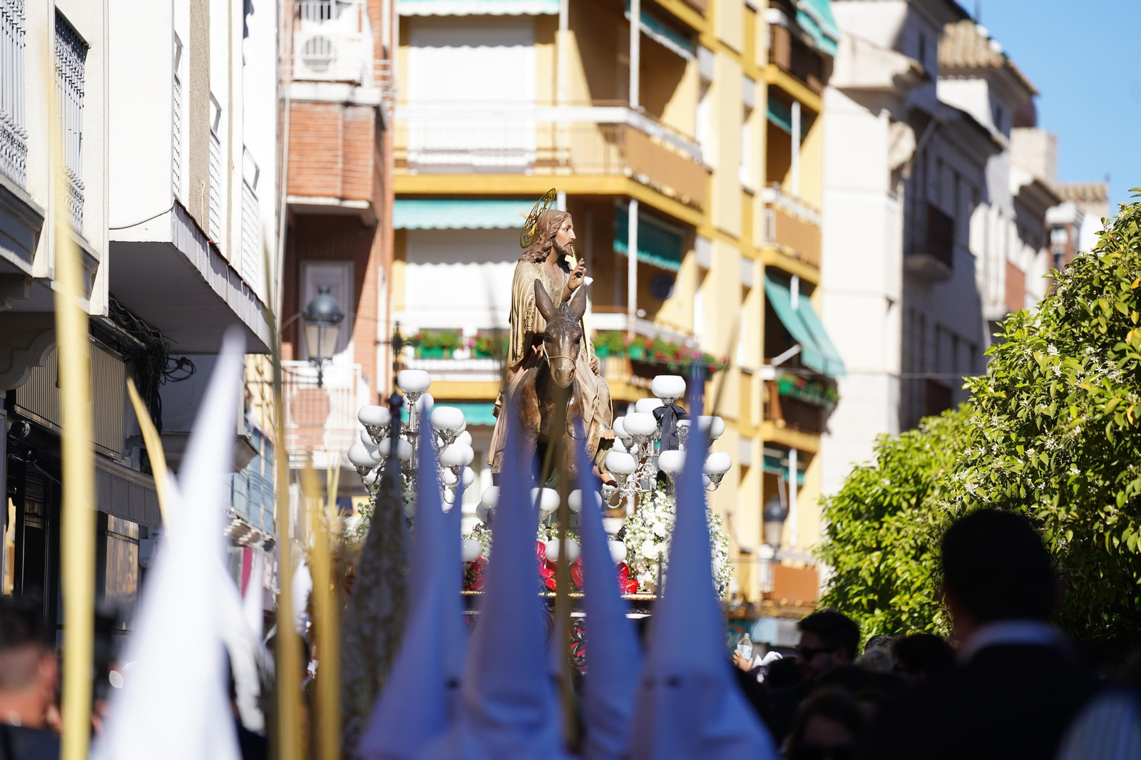 Las mejores fotografías del Domingo de Ramos en Lucena