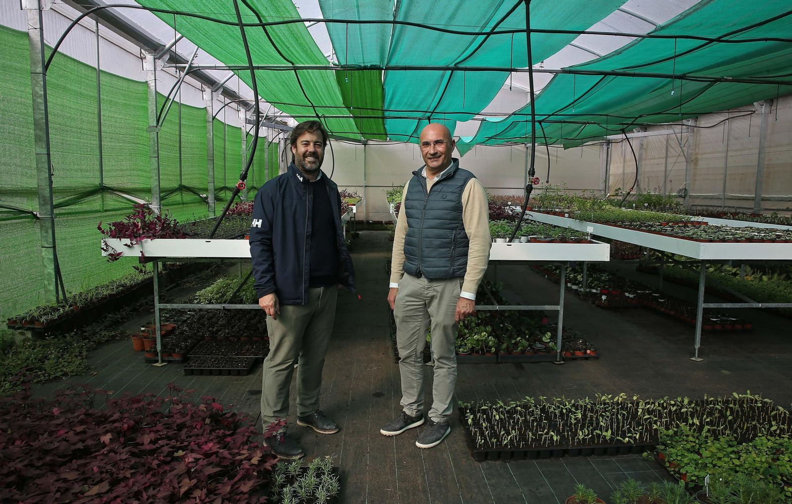 Fotos del vivero municipal de Algeciras