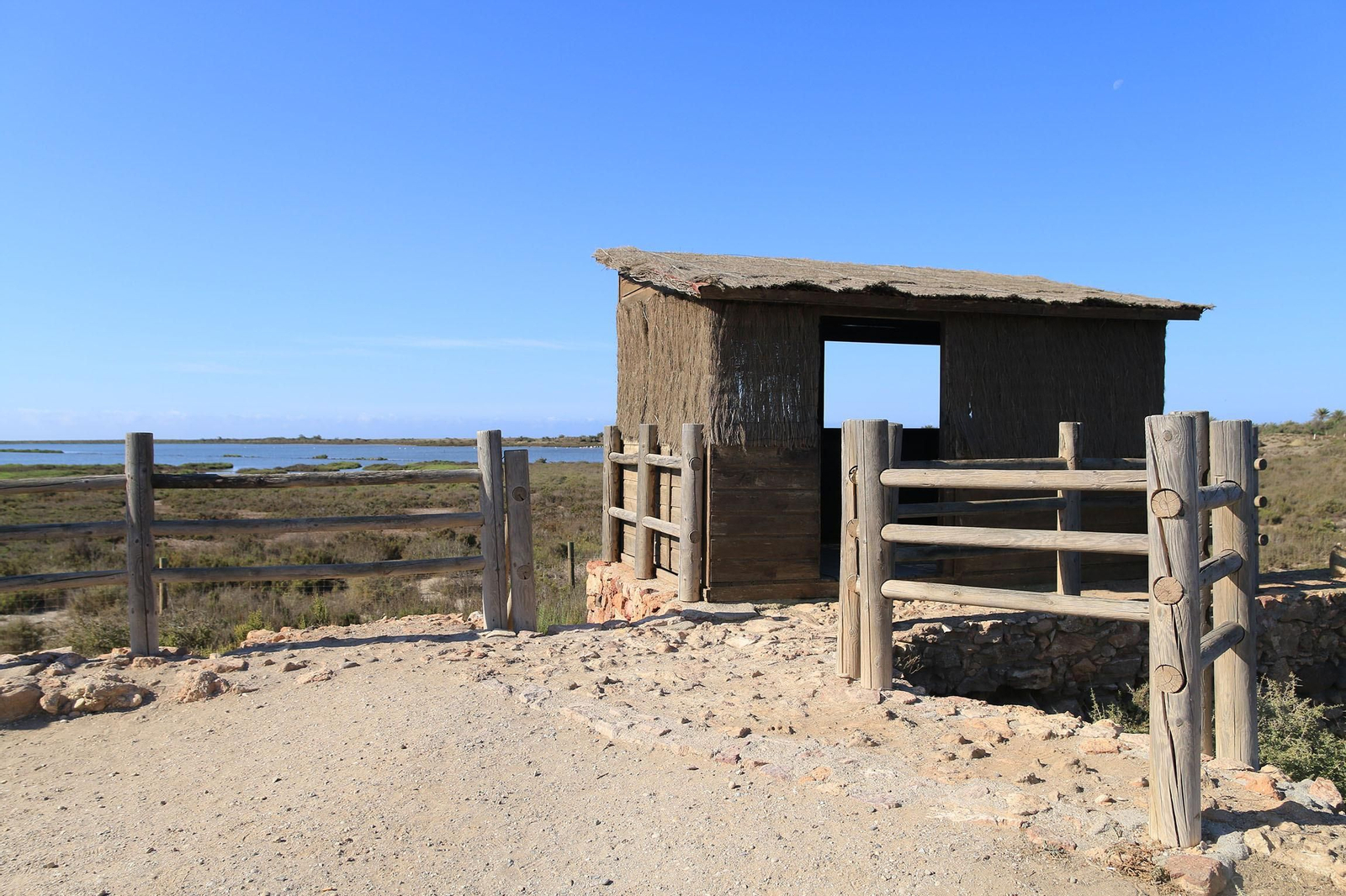 Las imágenes de las Salinas de Cabo de Gata recuperadas y con flamencos