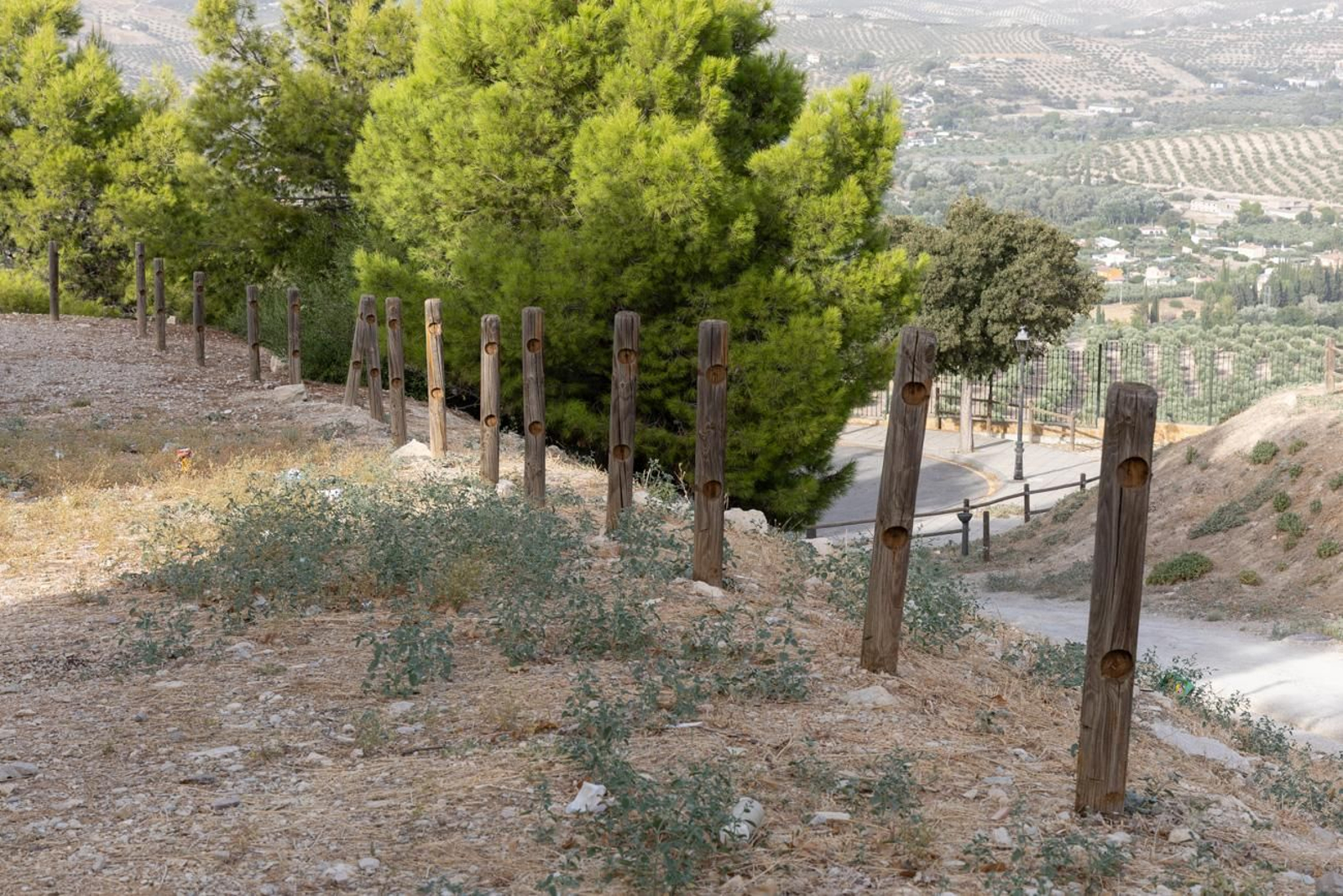 Estado de abandono del parque del Cerro de las Canteras