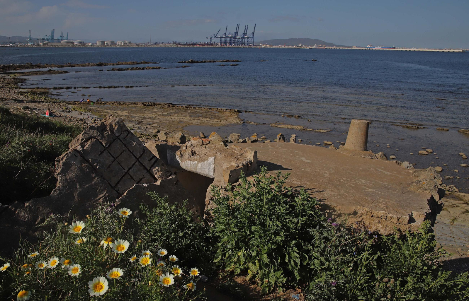 Fotos del estado de abandono del Parque del Centenario de Algeciras