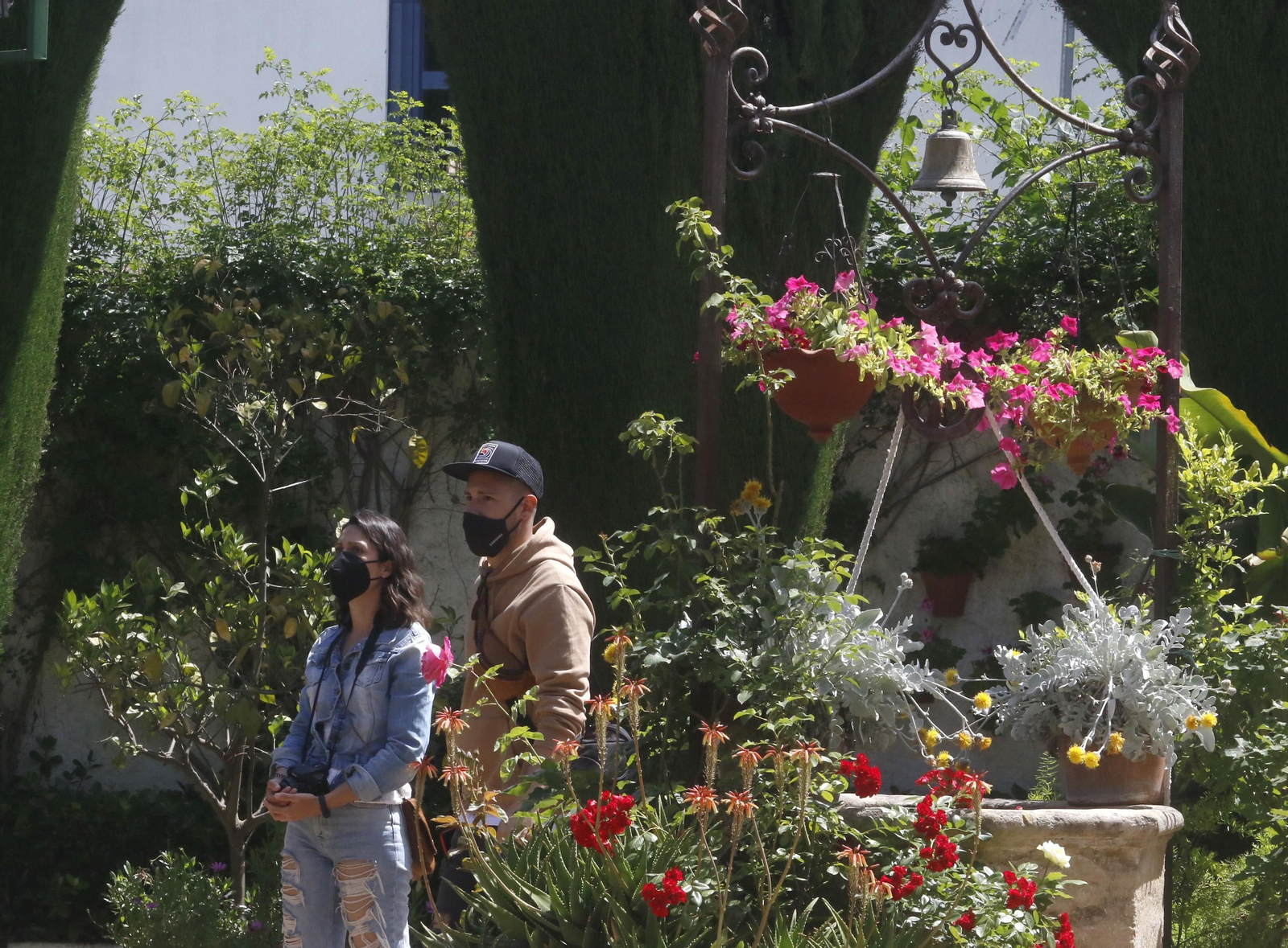 Ruta Santiago - San Pedro de los Patios de Córdoba, en imágenes