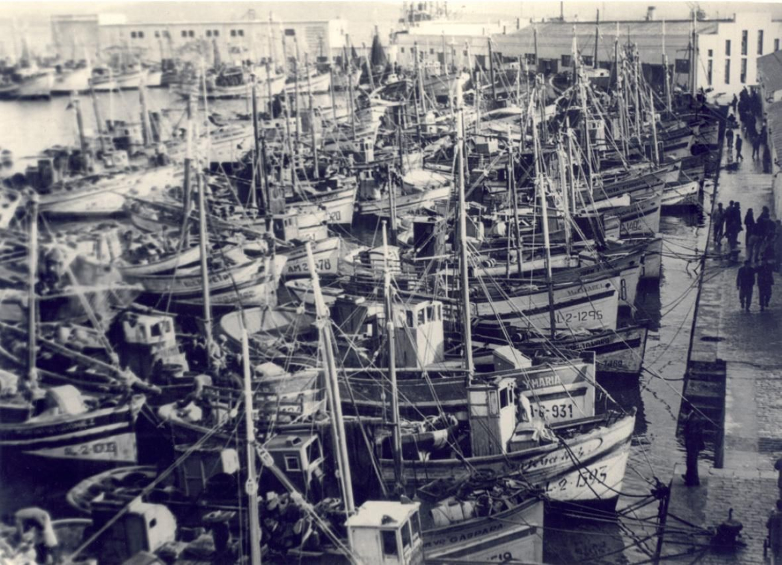 Decenas de barcos de pesca en la dársena pesquera en el año 1962.