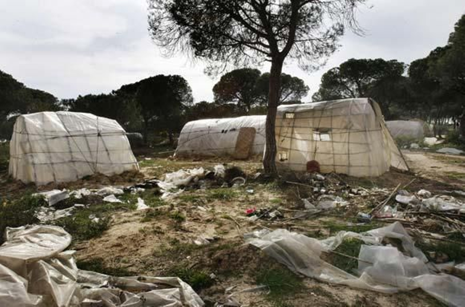 Entre Mazagón y Palos se extiende un mar blanco que oculta los campos de fresa, que oculta el lugar de ninguna parte de los africanos derrotados

Foto: Fito Carreto