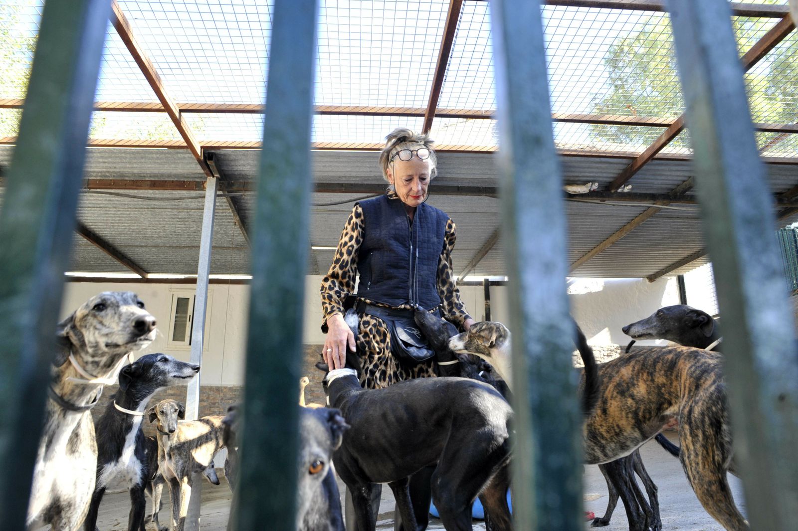 Centro de Animales Abandonados y Perdidos de Villamartín.