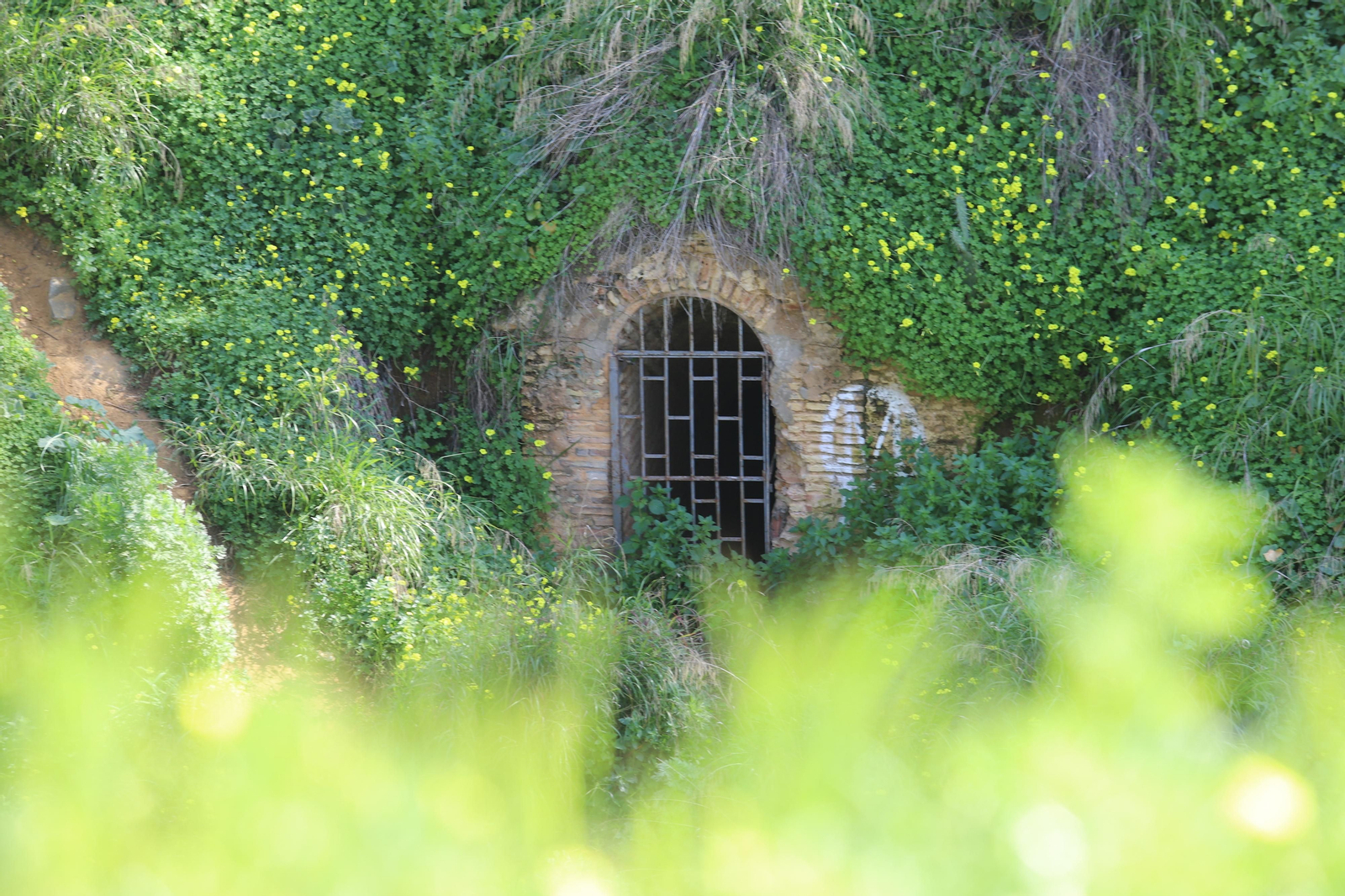 Imágenes del mirador del Conquero, de los cabezos y Fuentevieja