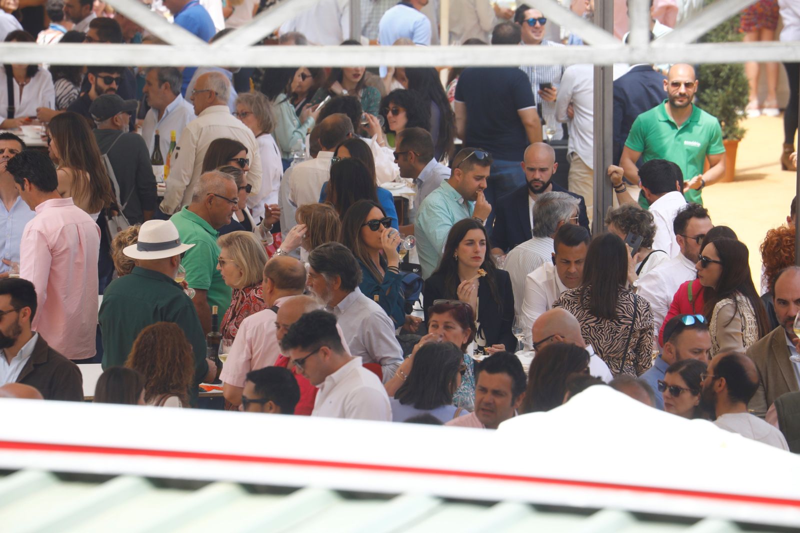 El viernes en la Cata del Vino de Córdoba, en imágenes