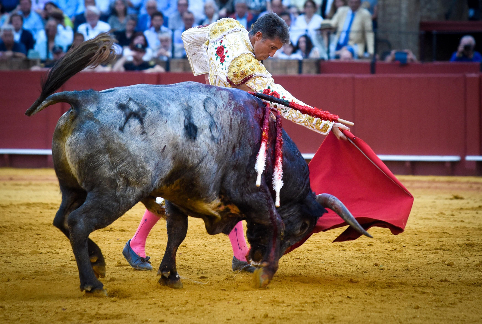 Las imágenes de la corrida de toros de El Fandi, Manuel Escribano y Esaú Fernández