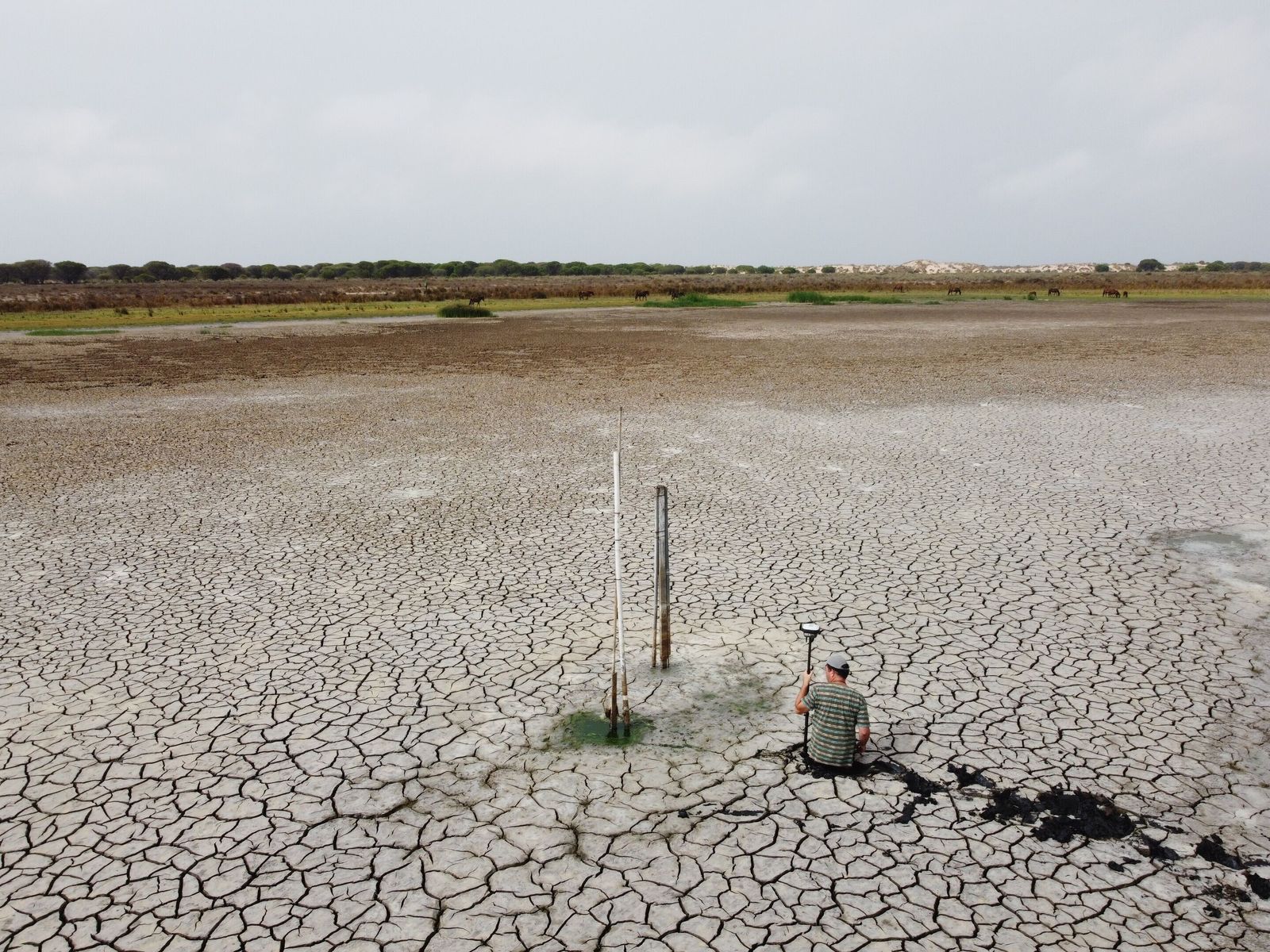 Estado de la laguna de Santa Olalla en una imagen de la Estación Biológica de Doñana.