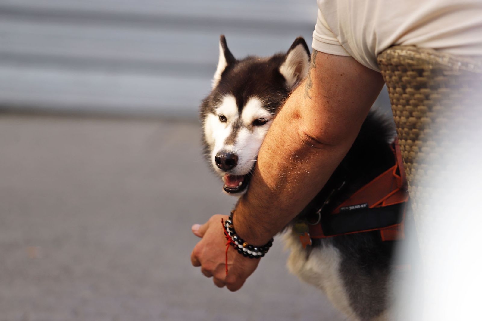 Imágenes del lunes 9 de octubre en Huelva