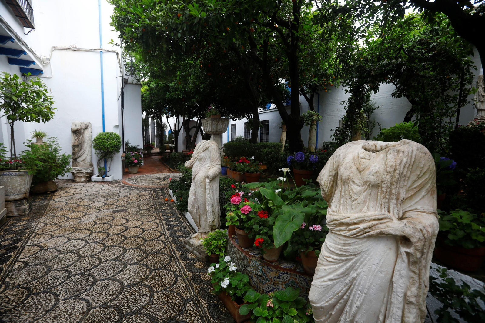 Los patios de Córdoba de la ruta Judería-San Francisco, en imágenes