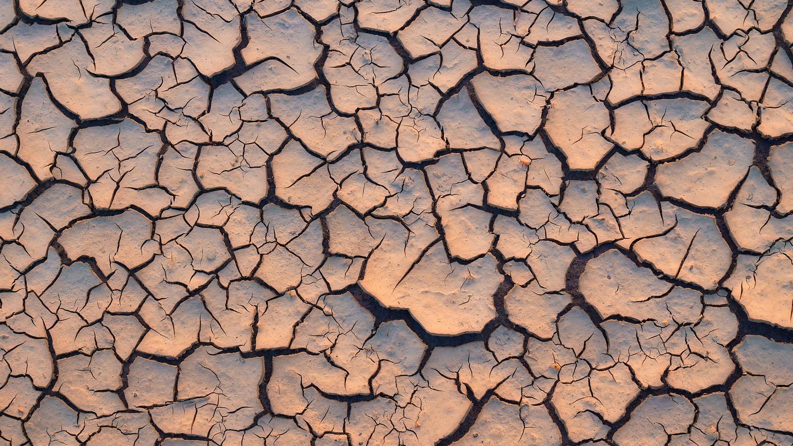 En 1996 entra en vigor la Convención de la ONU contra la Desertización.