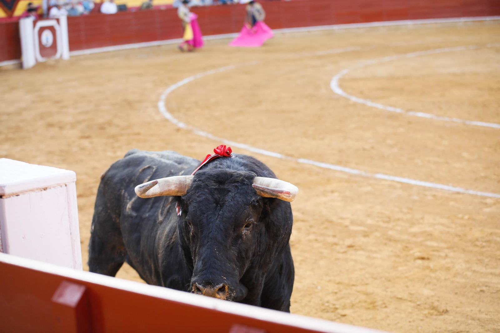 Imágenes de la corrida de toros en Roquetas de Mar