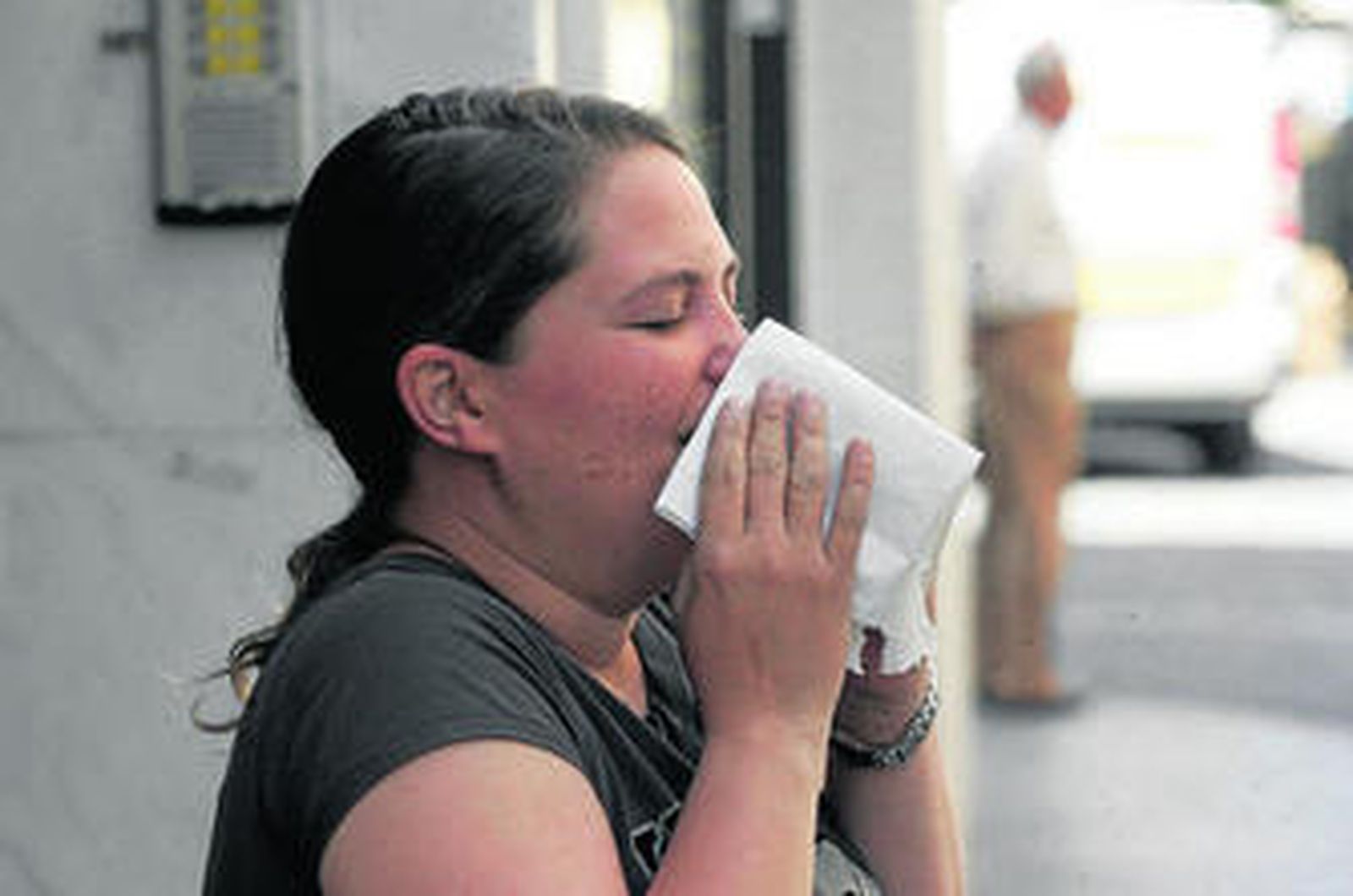 Estornudos estivales