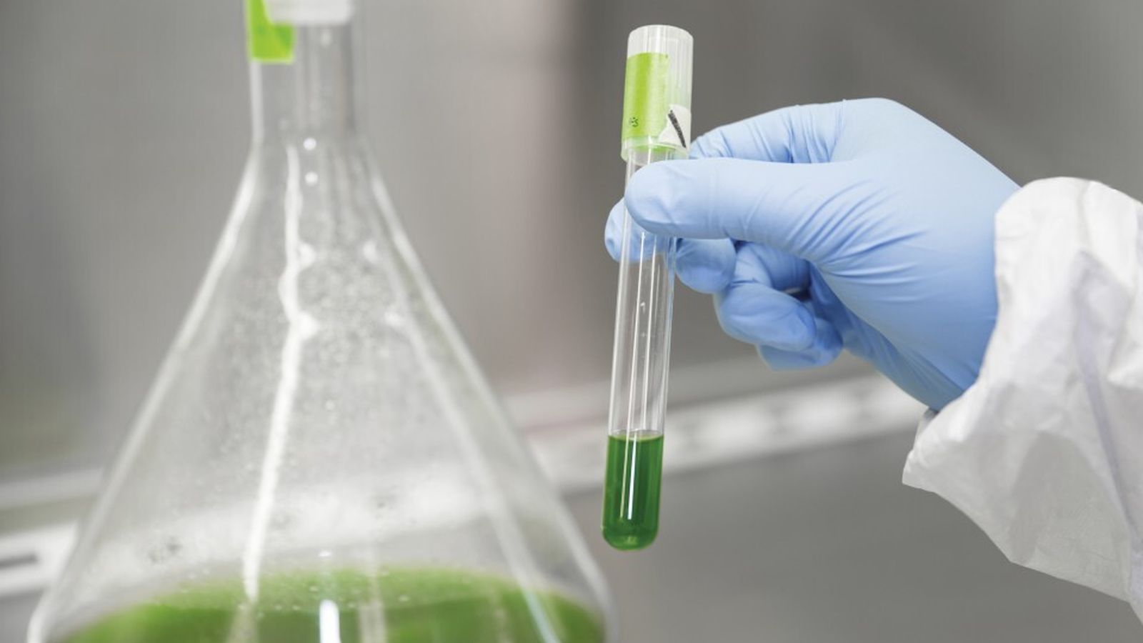 Audi lleva ya años trabajando en los combustibles sintéticos como una alternativa a los derivados del petróleo.