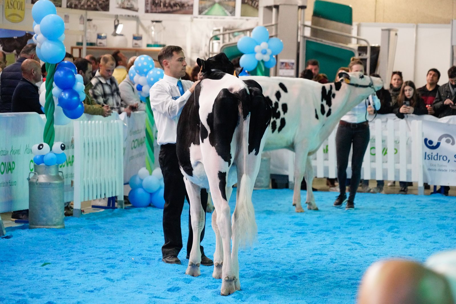 La Feria de Ganado Frisón Usías Holsteins de Dos Torres, en fotografías