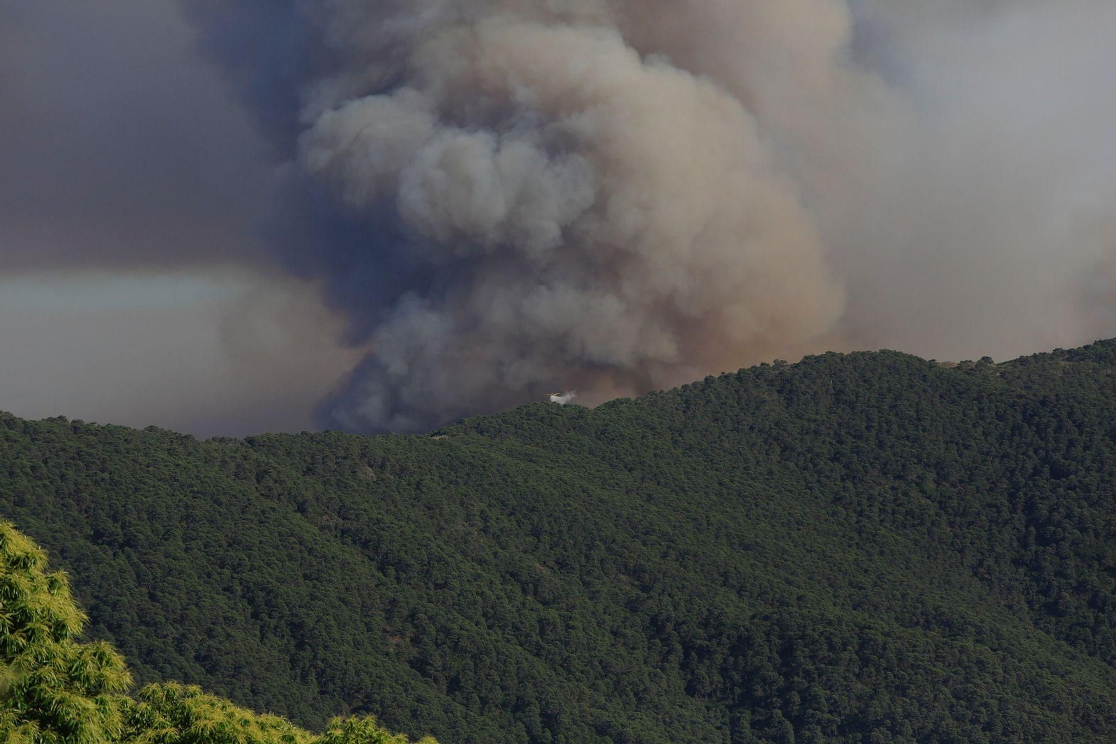 El incendio en Pujerra, en Málaga, en fotos El incendio en Pujerra, en Málaga, en fotos