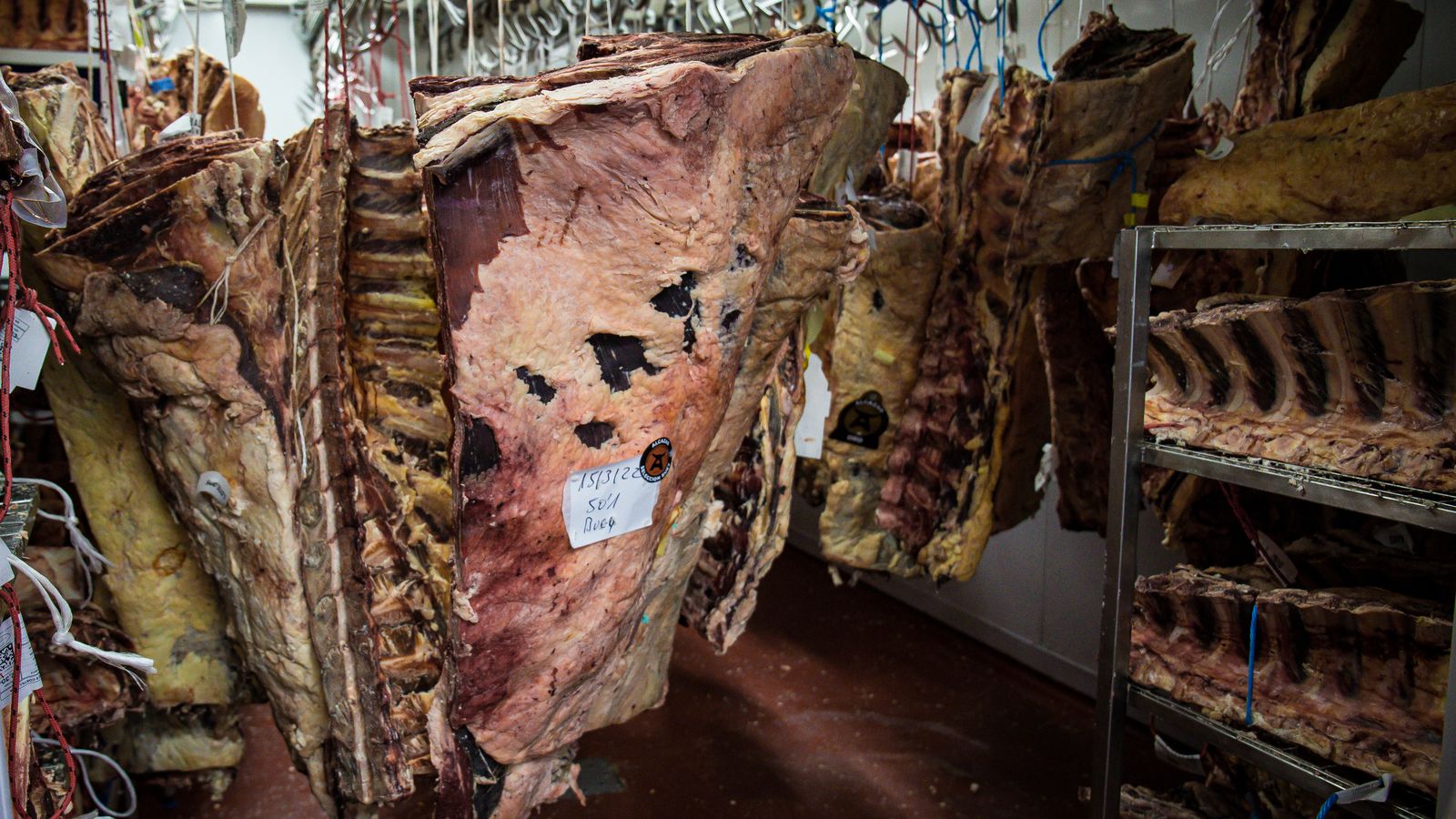 Chuletón de Buey madurando.