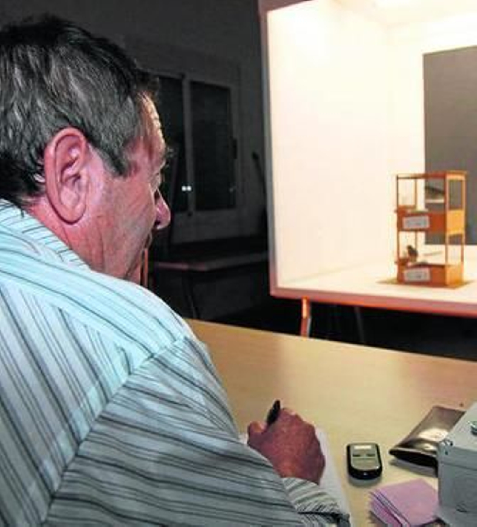 La entrega de premios puso fin a una temporada que ha superado a la anterior en cuanto a la calidad de ejemplares de los canaricultores y trabajo de los jueces.