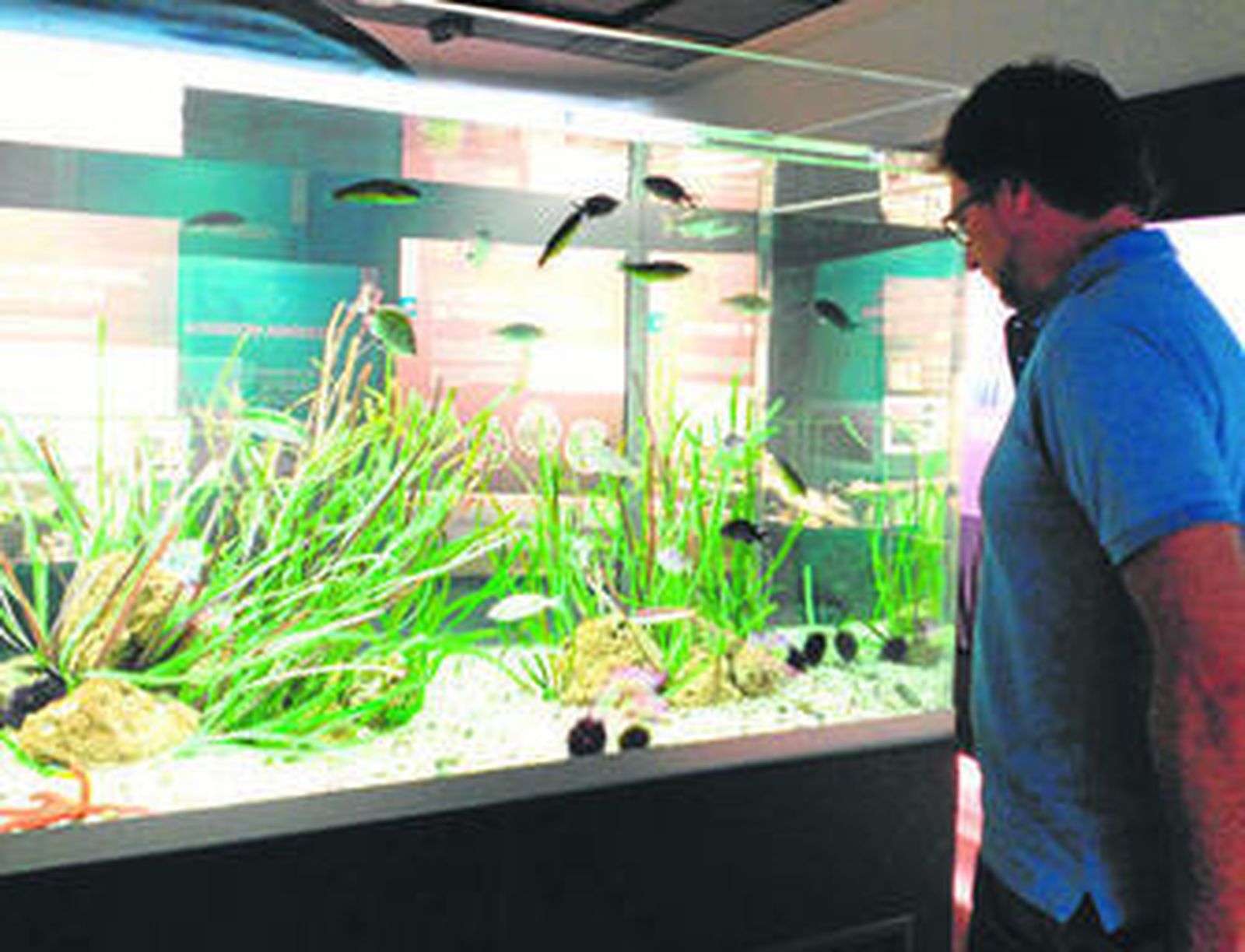 Hay una pecera donde ver la fauna y flora representativa del litoral de la provincia.