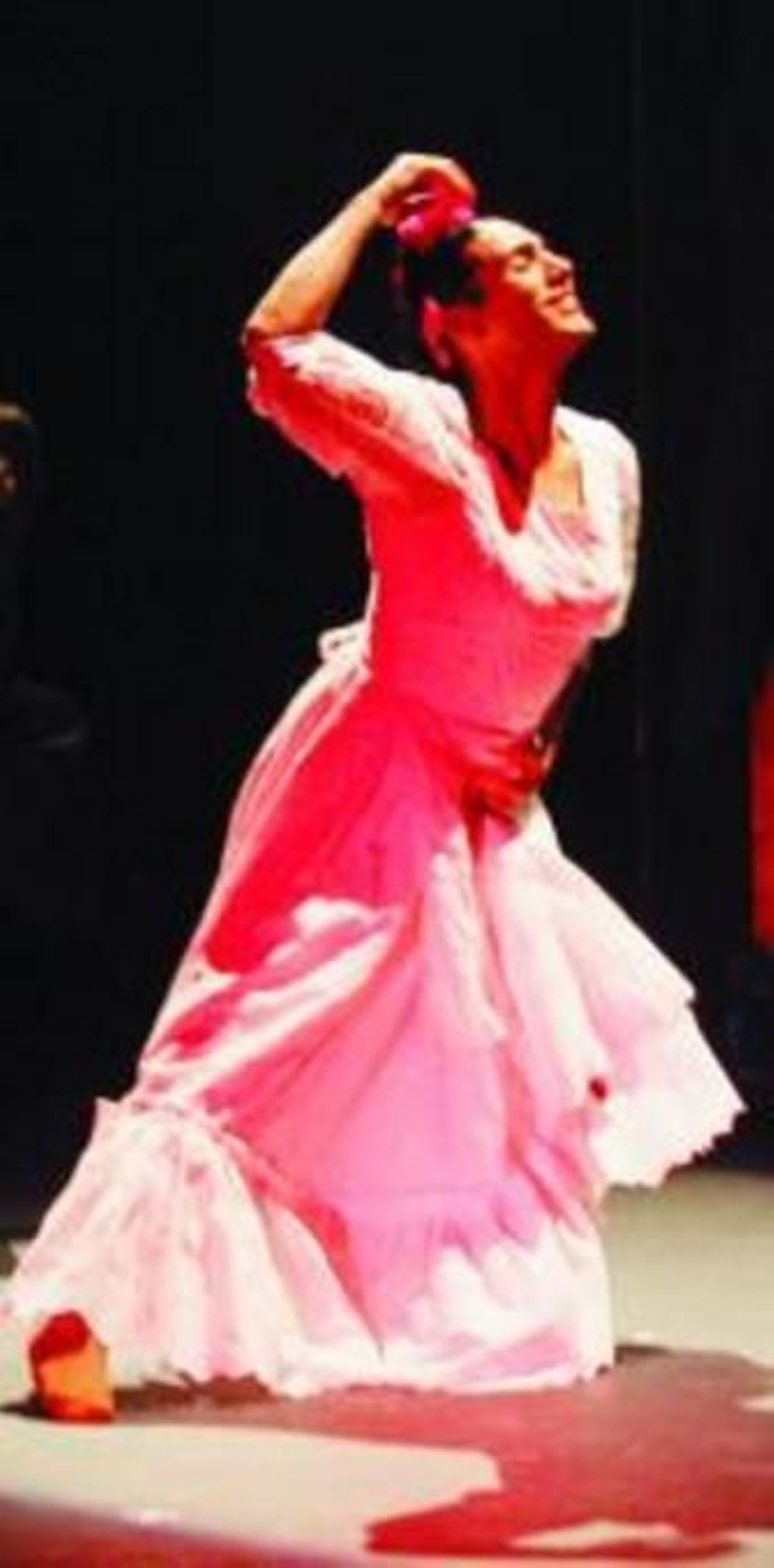 El montaje 'Kahlo Caló'.