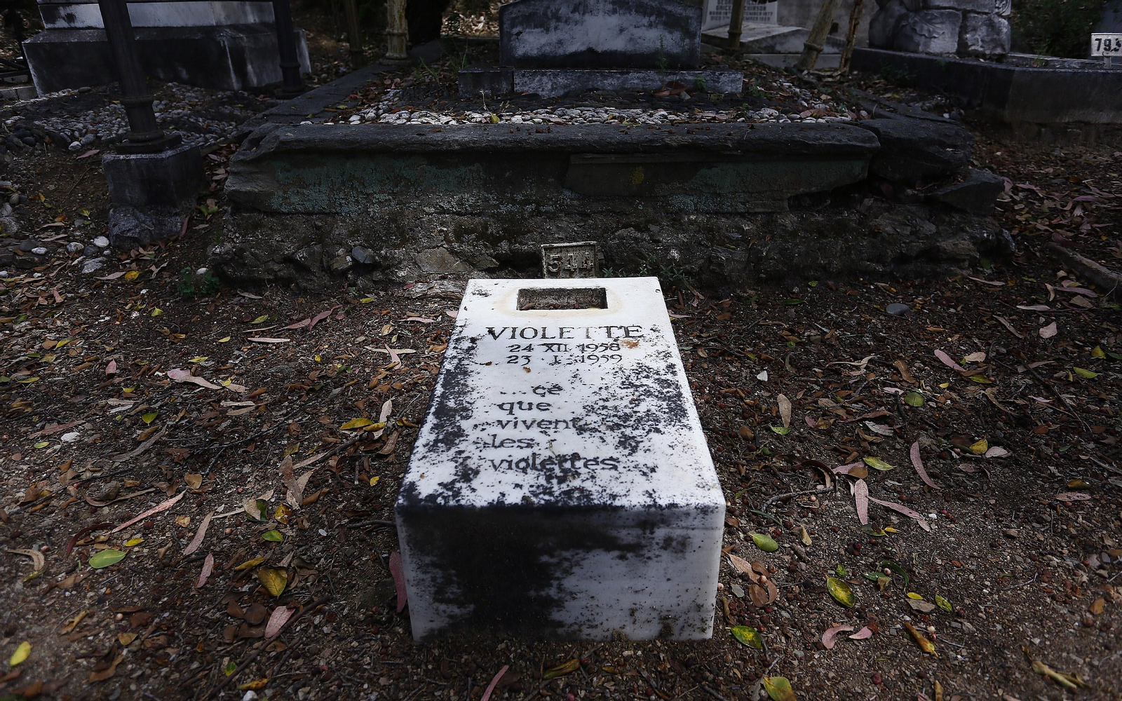 El cementerio Inglés de Málaga, en fotos
