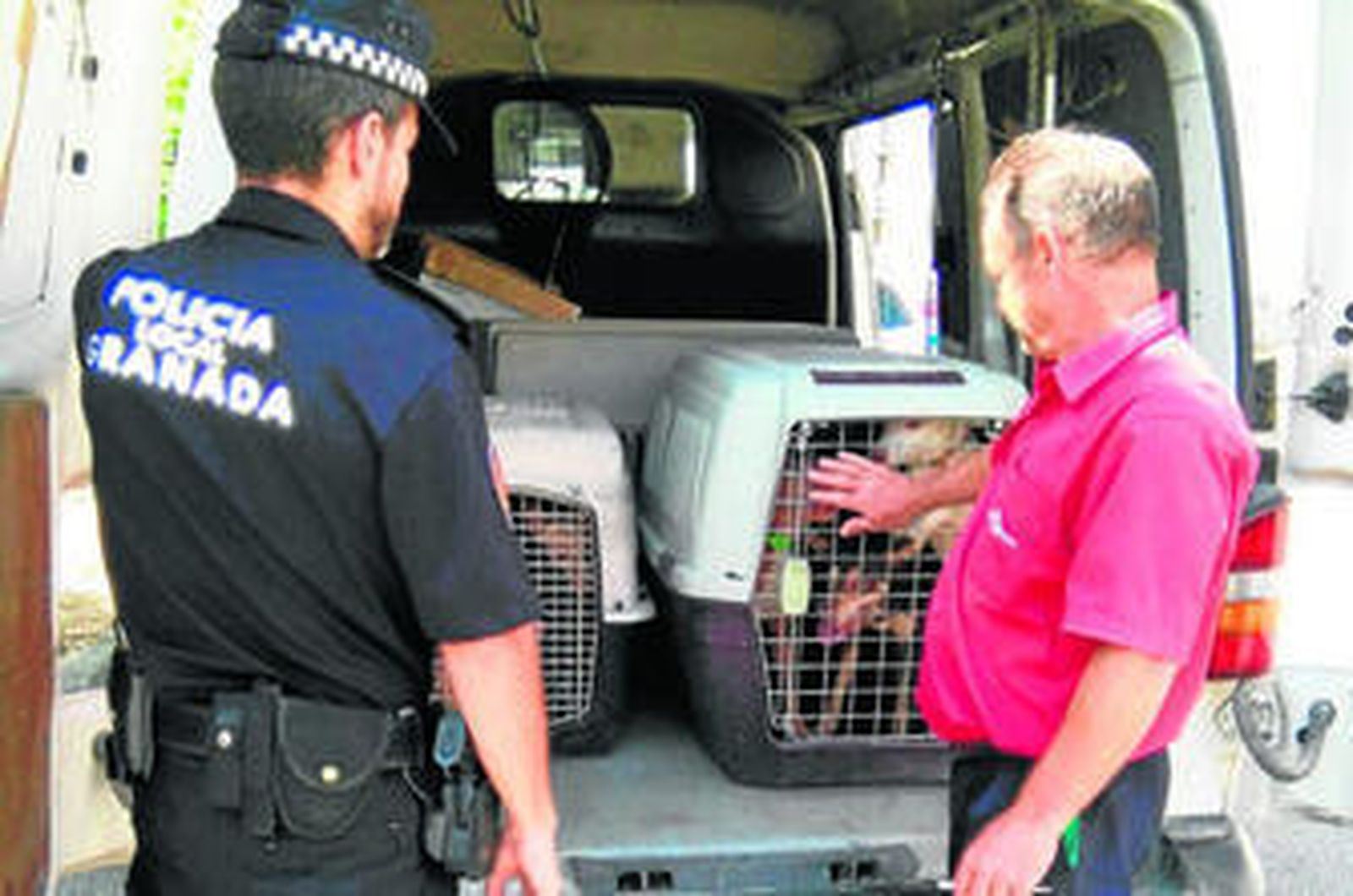 Los agentes se llevaron a los perros tras identificar a los dueños.