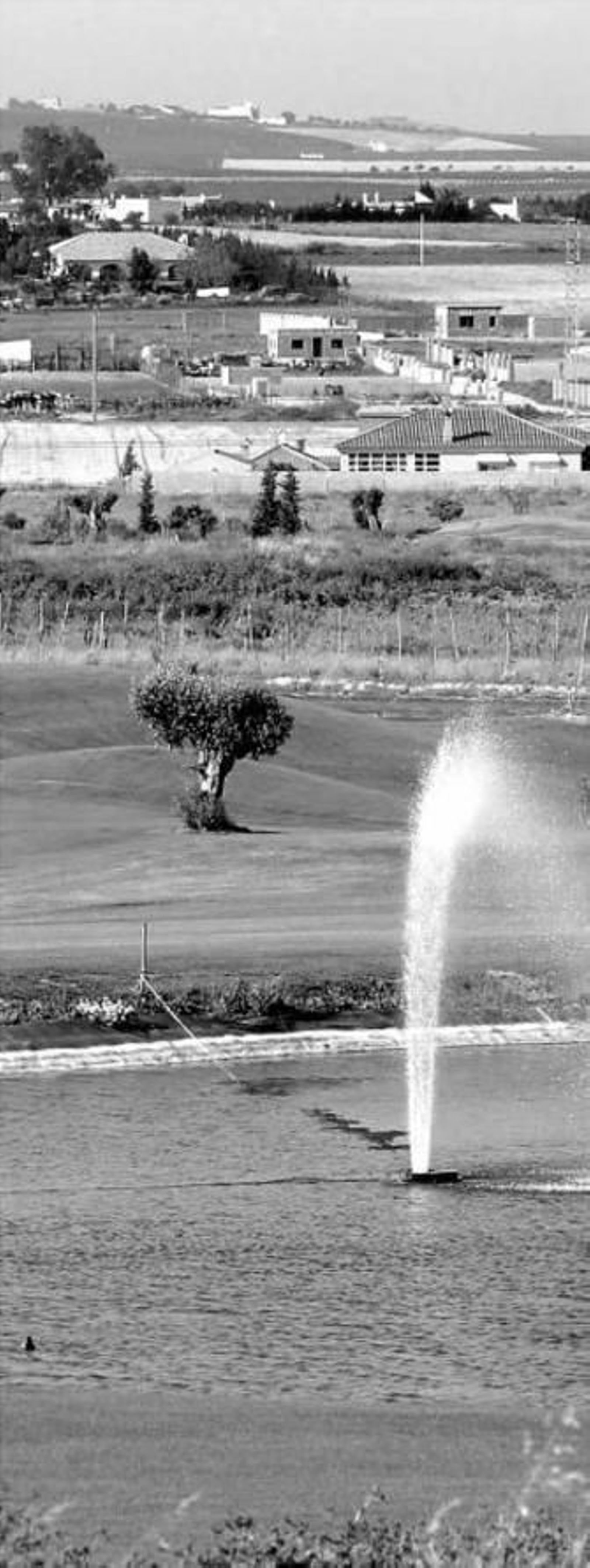 Uno de los hoyos del campo de golf con Montes de Oca, al fondo.