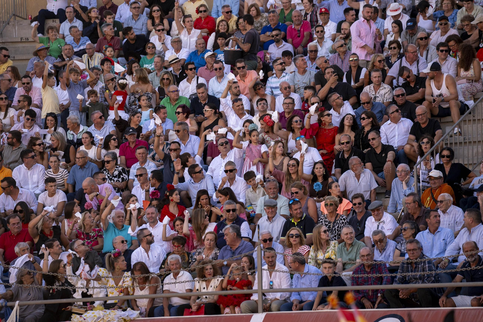 Las imágenes de los toros en Vera