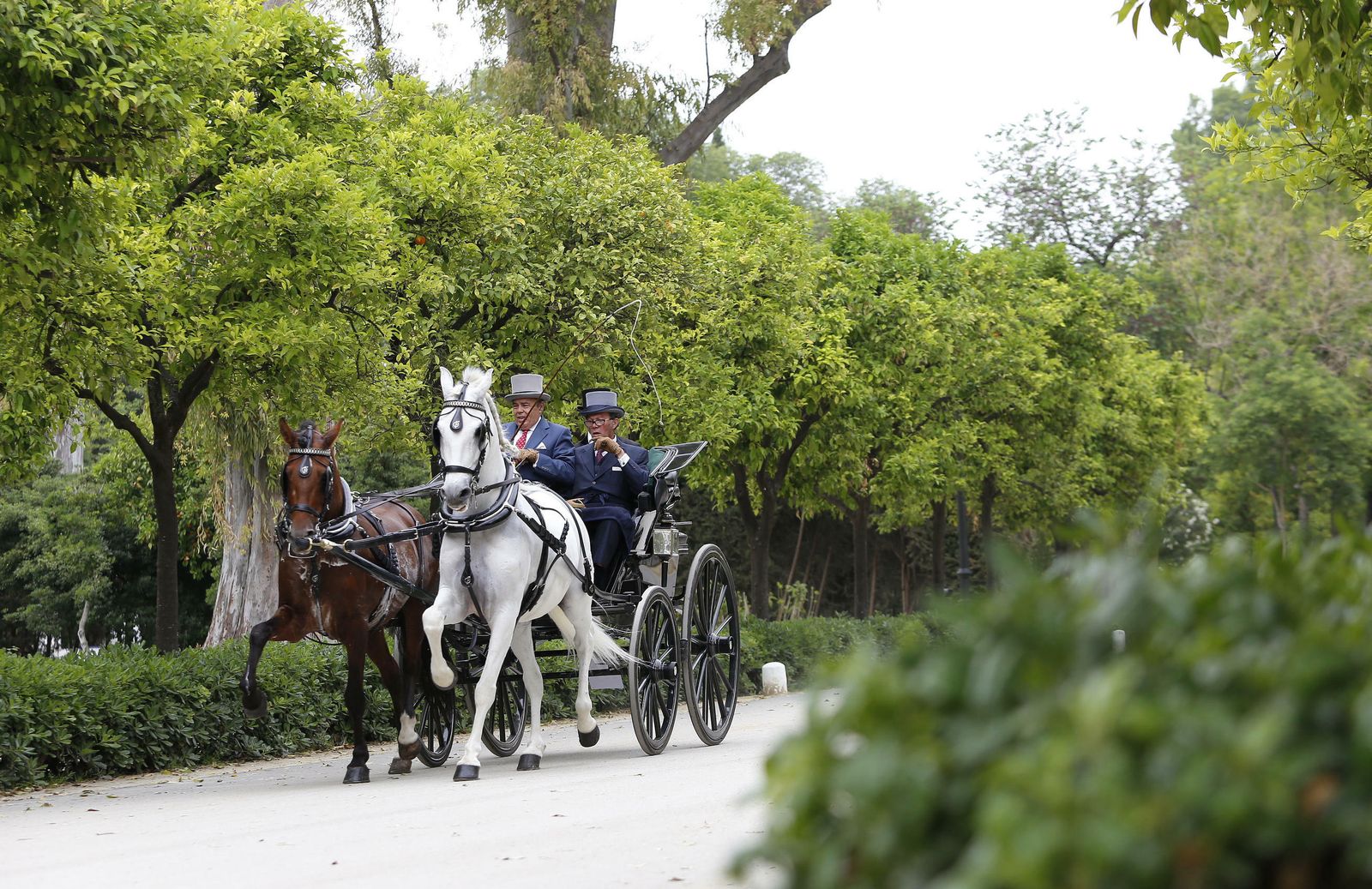 El concurso de enganches, en imágenes