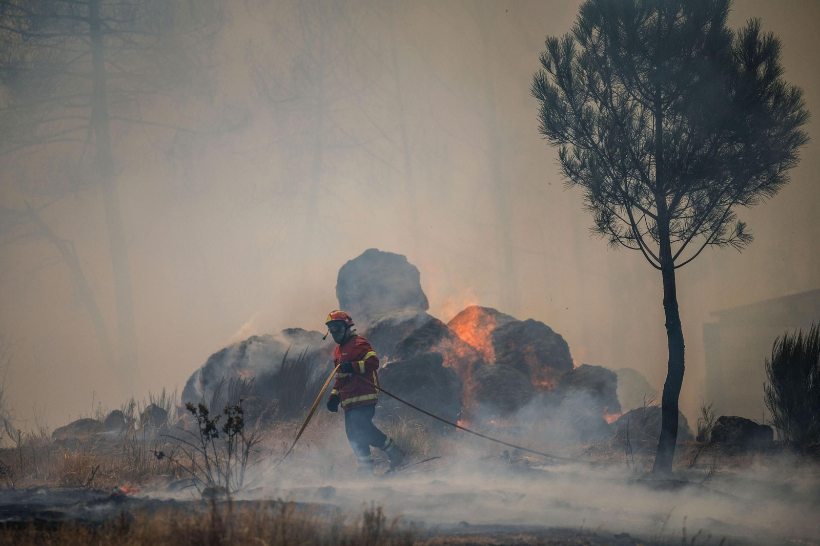 Incendios en Portugal