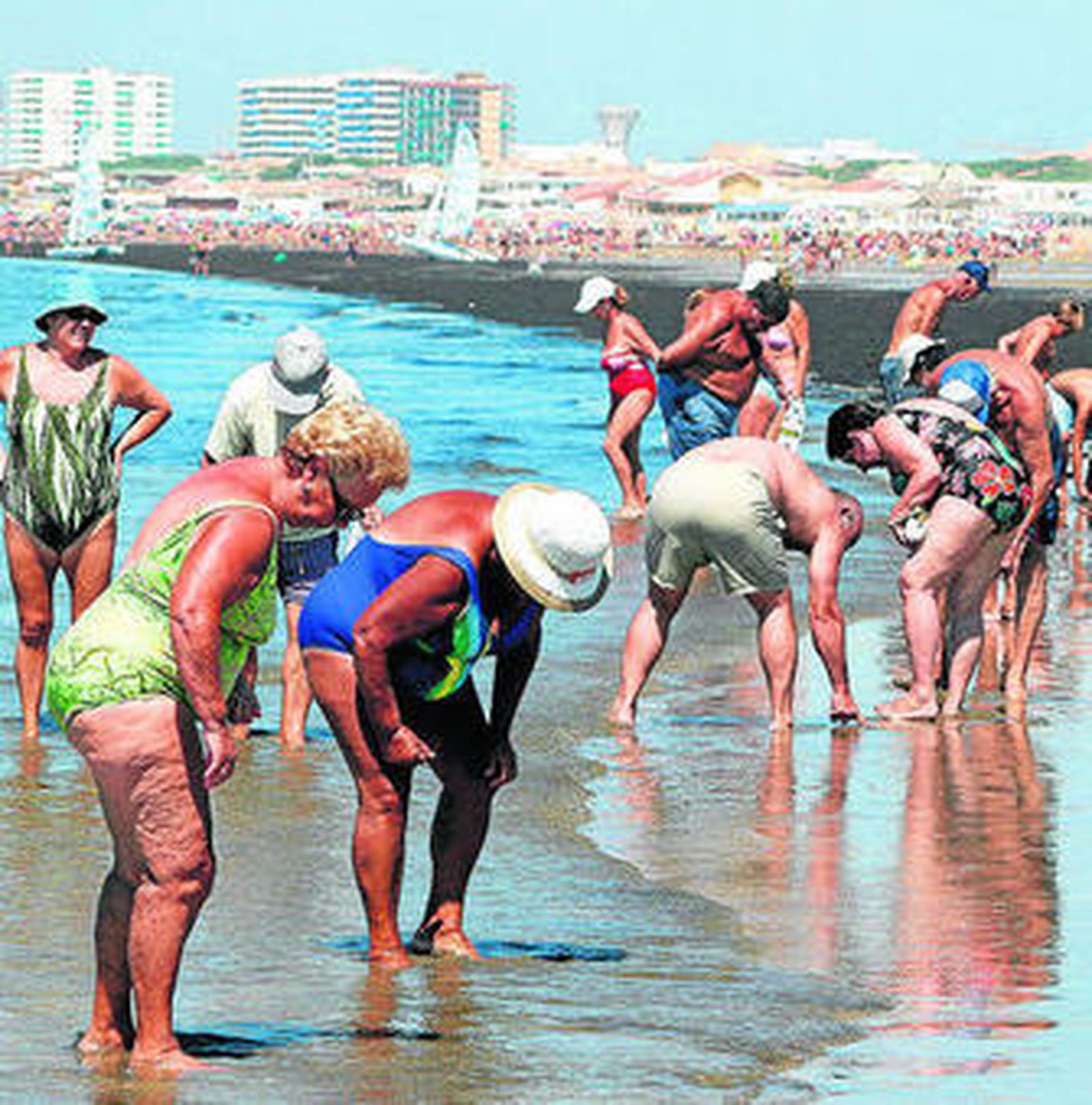 Bañistas cogen coquinas en la playa.