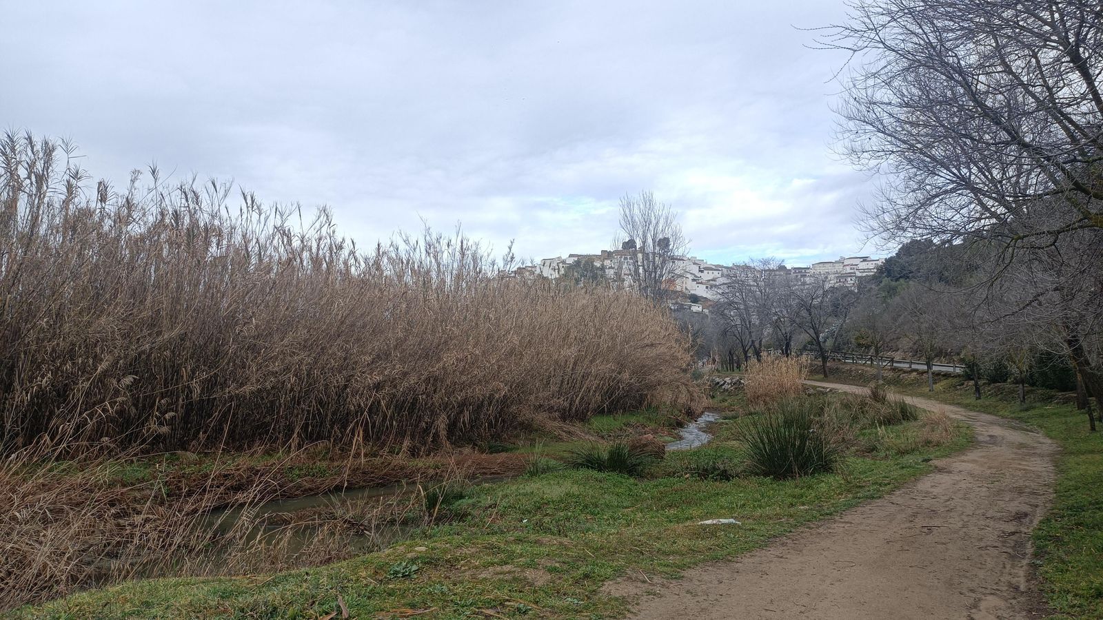 Antes de llegar al pueblo, se abre un sendero en paralelo a la carretera.