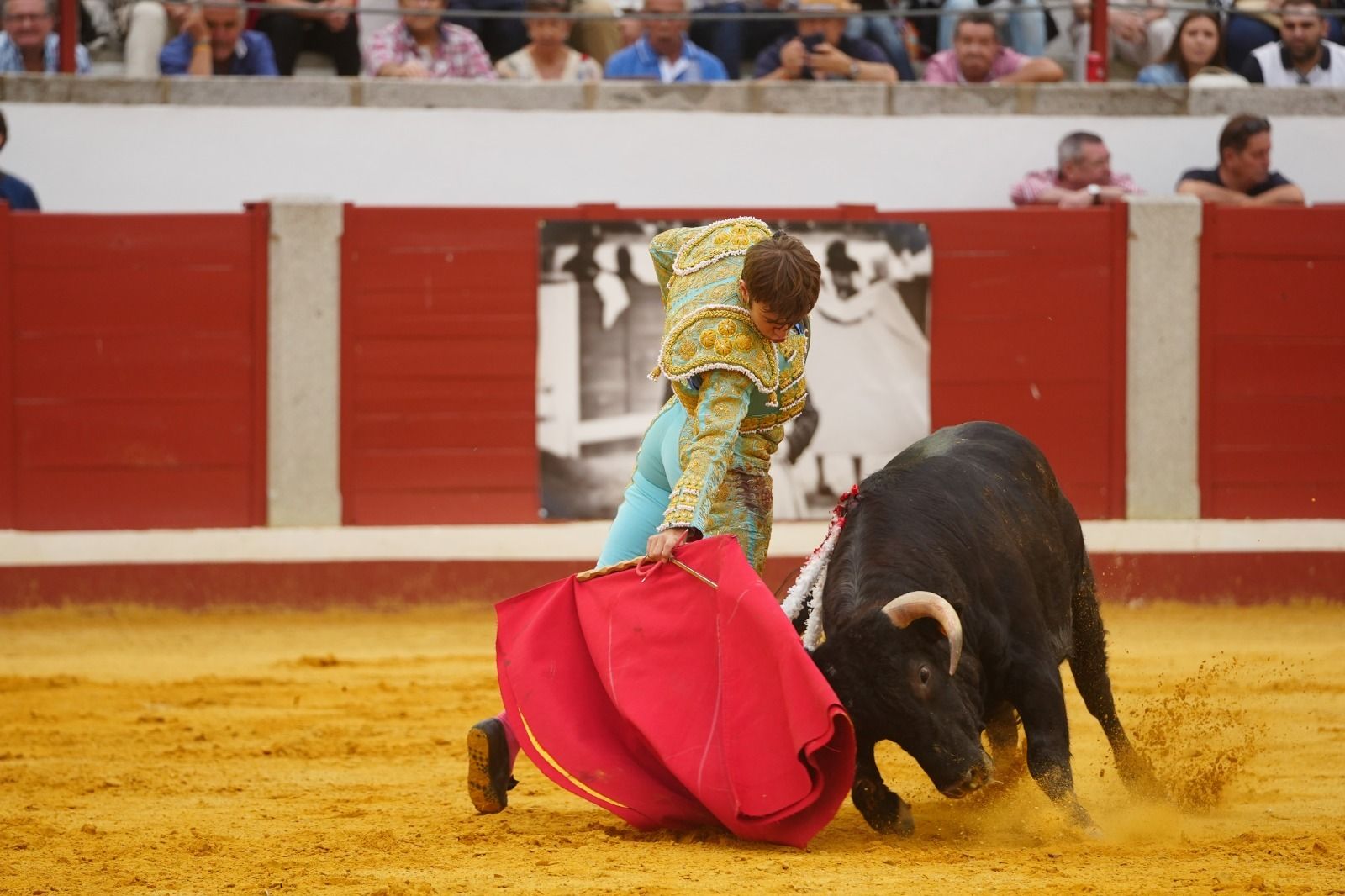 El mano a mano de los novilleros José Antonio de Gracia y El Candela en Pozoblanco, en imágenes