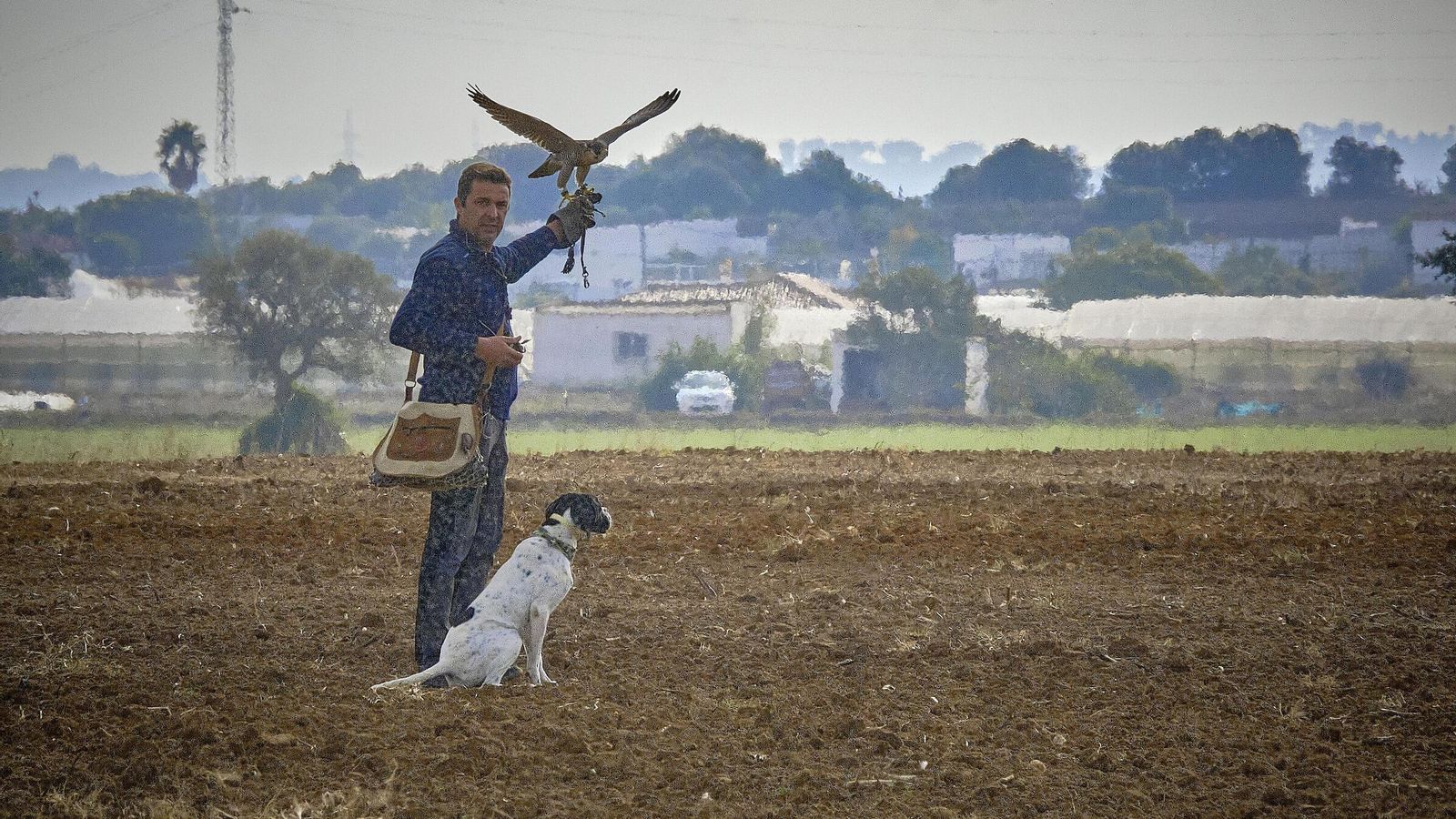 Antonio Aragón sujeta sobre su brazo el halcón con el que está haciendo la demostración.