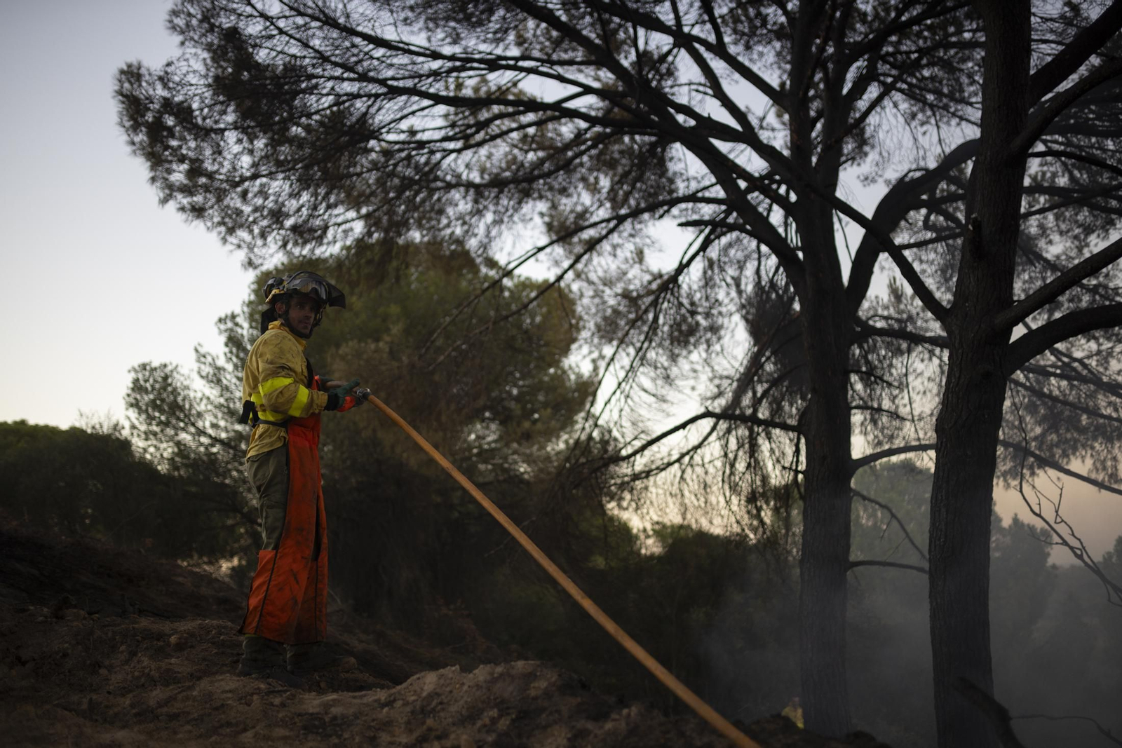 Imágenes del incendio de Bonares