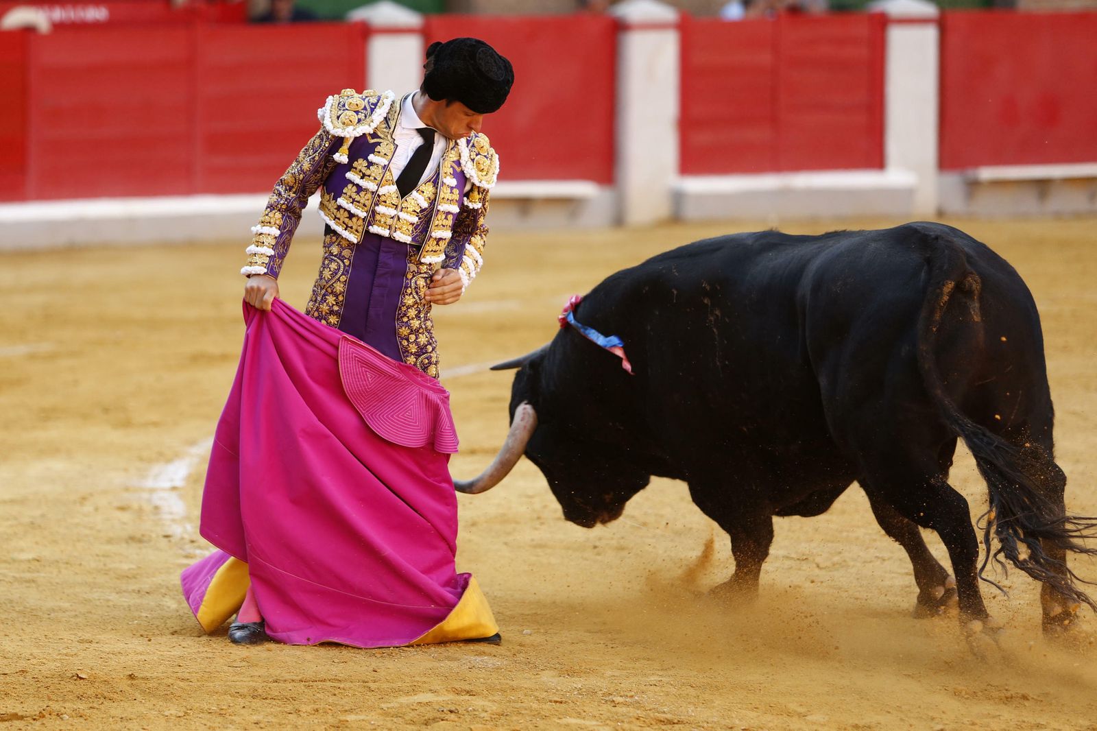 Las mejores imágenes de los toros en el Corpus